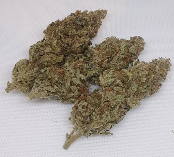Wild Berry Punch, coco grown with organic amendments.