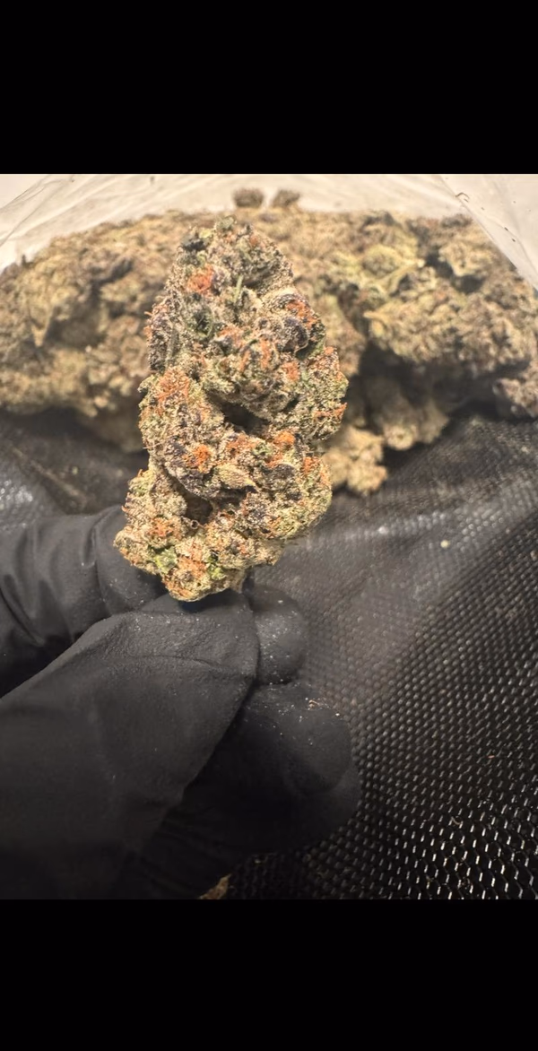 Exclusive Gelato candy — Flower