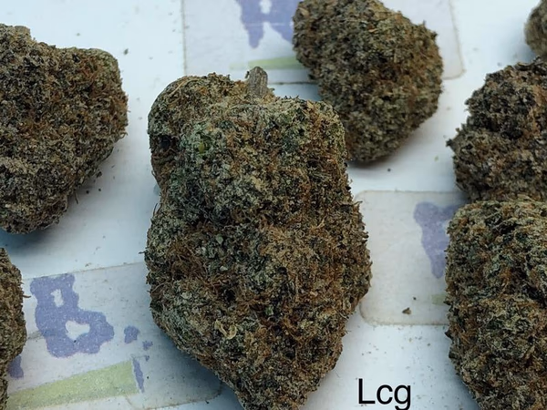 LEMON CHERRY GELATO TOP SHELF CALI image