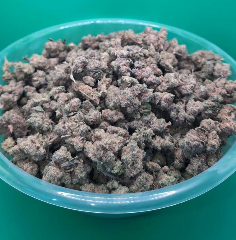RAMBO Rainbow Sherbert 11 (RS11) Skunk 🍒🫐🍭 2