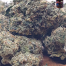 [Exclusive] Top Shelf Cali