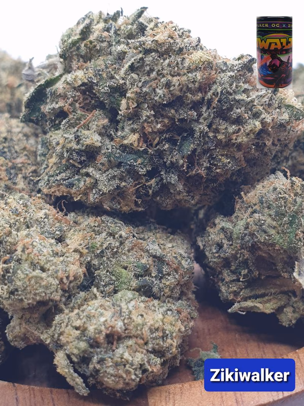 [Exclusive] Top Shelf Cali — Flower