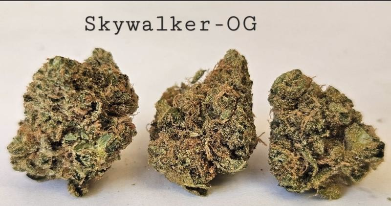 Make an oz for £160! ( Free T24 )