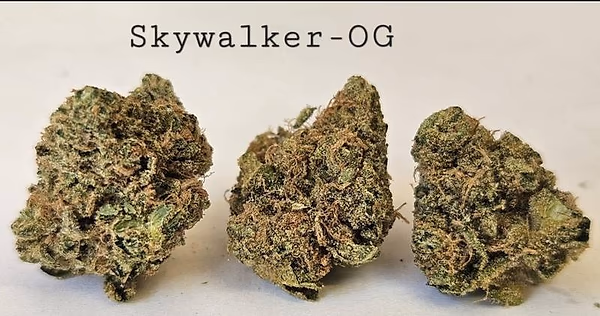Make an oz for £160! ( Free T24 )