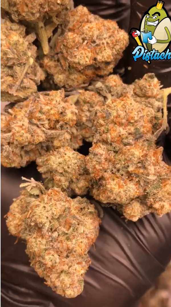 HA GUIDATO UN COOKIE DUGH CRESCIUTO