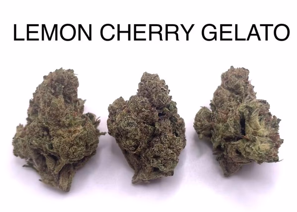 LEMON CHERRY GELATO