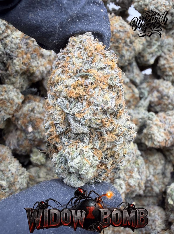 Widow Bomb — Flower