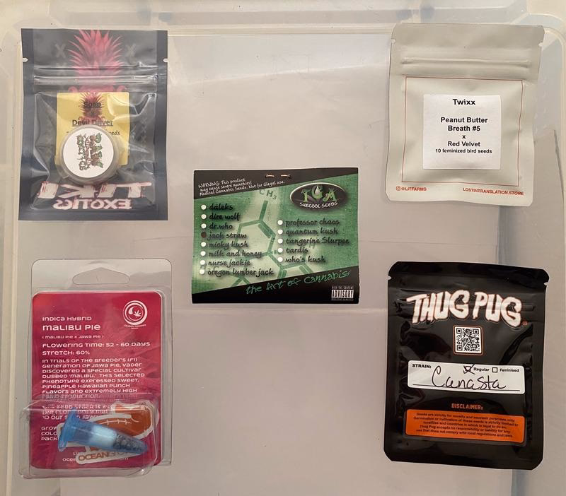 Various Breeder Packs 2