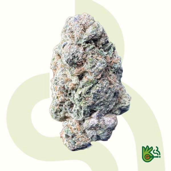 Super Boof *Free Shipping*