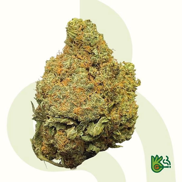 Mac1 *Frete grátis*