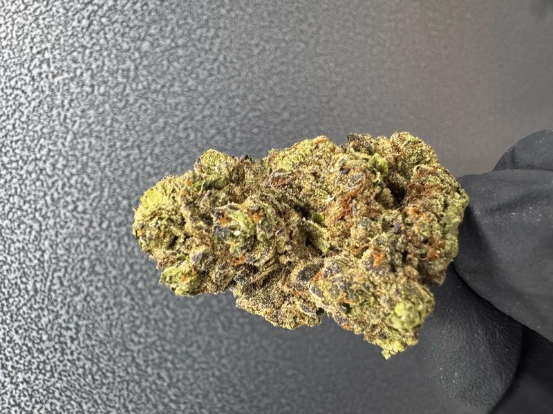 Exclusive Gelato cake