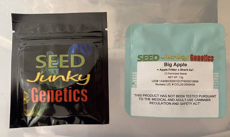 Seed Junky Genetics 2