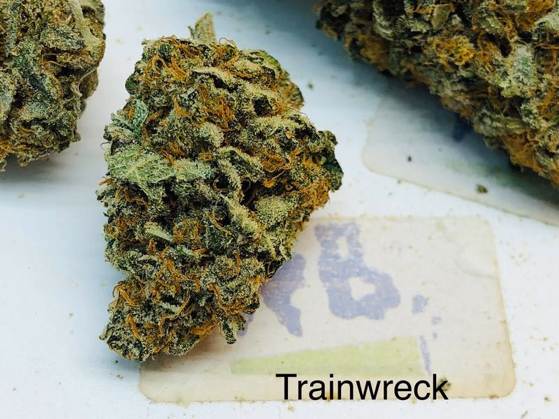 UK Exotics