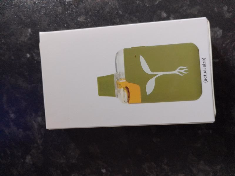 🔥RAW GARDEN TODO EN UNO LIVE RESIN VAPE 🔥