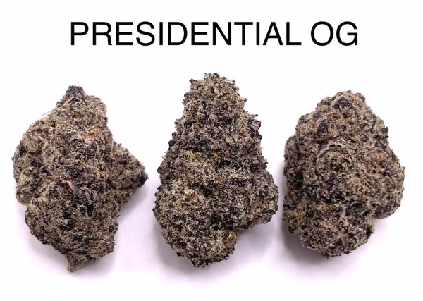 PRESIDENTIAL OG