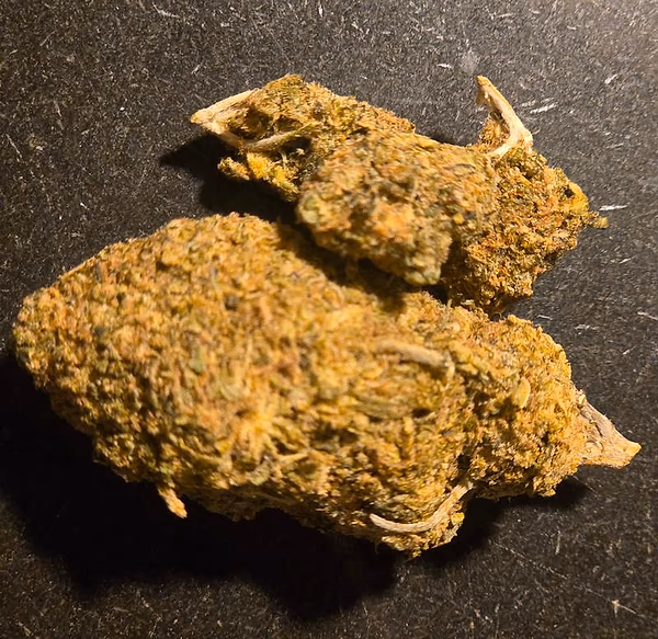 Girl Scout Cookies