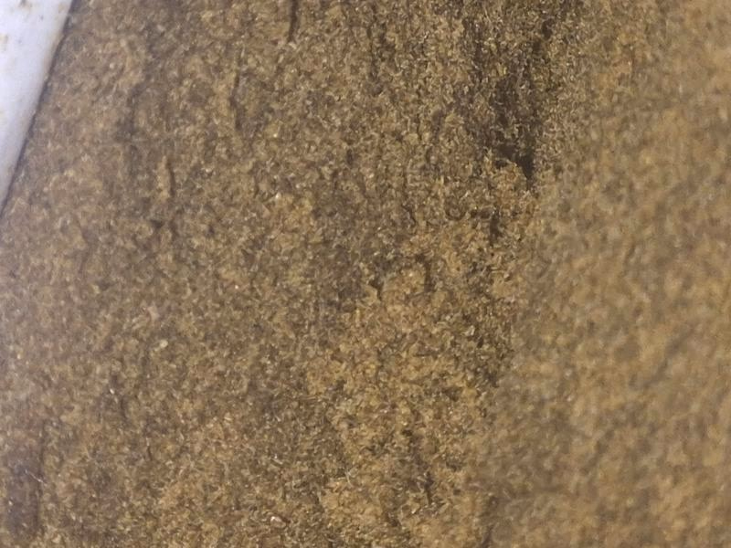 Blonde hash. Top grade