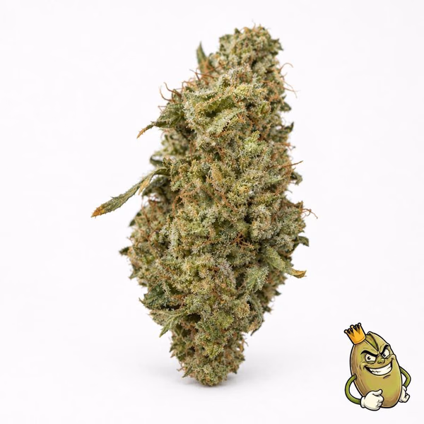 PURE MICHIGAN - TOPSHELF £135 ZA UNCI