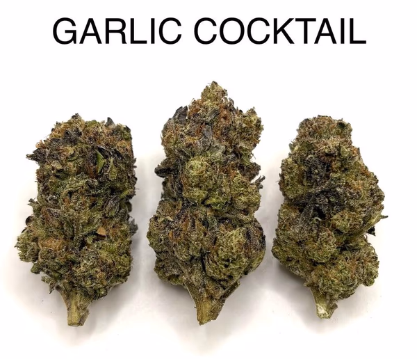 GARLIC COCKTAIL
