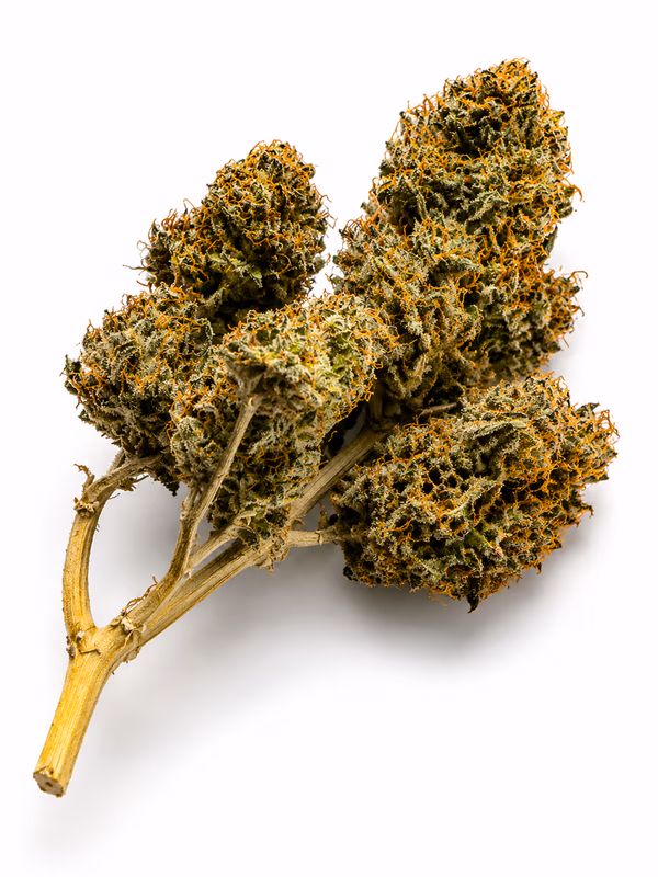 Northern Lights — UK Home Grown | Premium Indoor alternate
