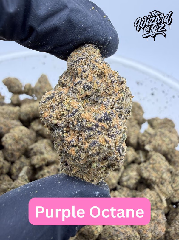 Purple Octane
