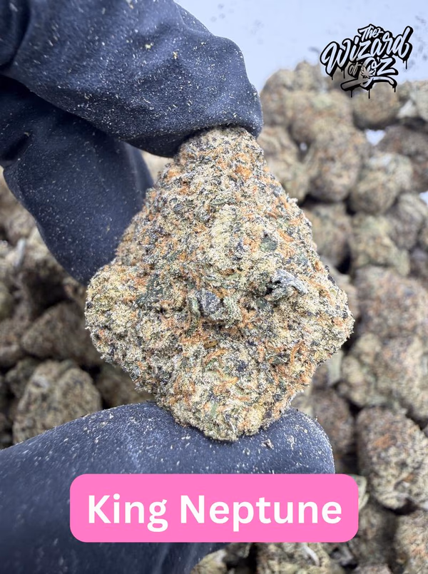Teds Budz Strain: King Neptune