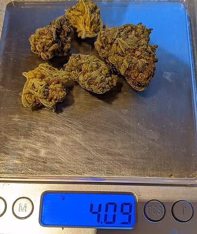 Guava Dawg