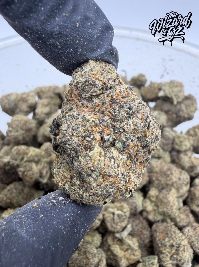 Teds Budz Strain: King Neptune