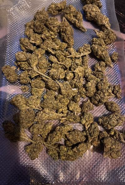 CANDY GAS - TOPSHELF £135 AN OUNCE