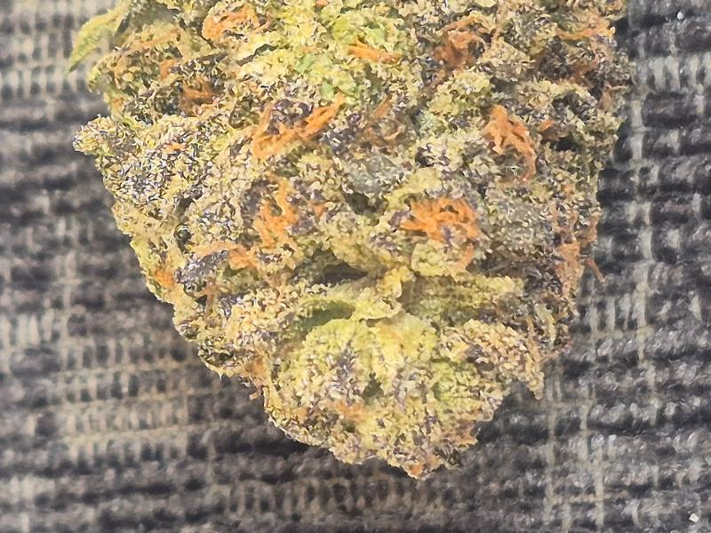 Grand Daddy Purple. Cali aaa