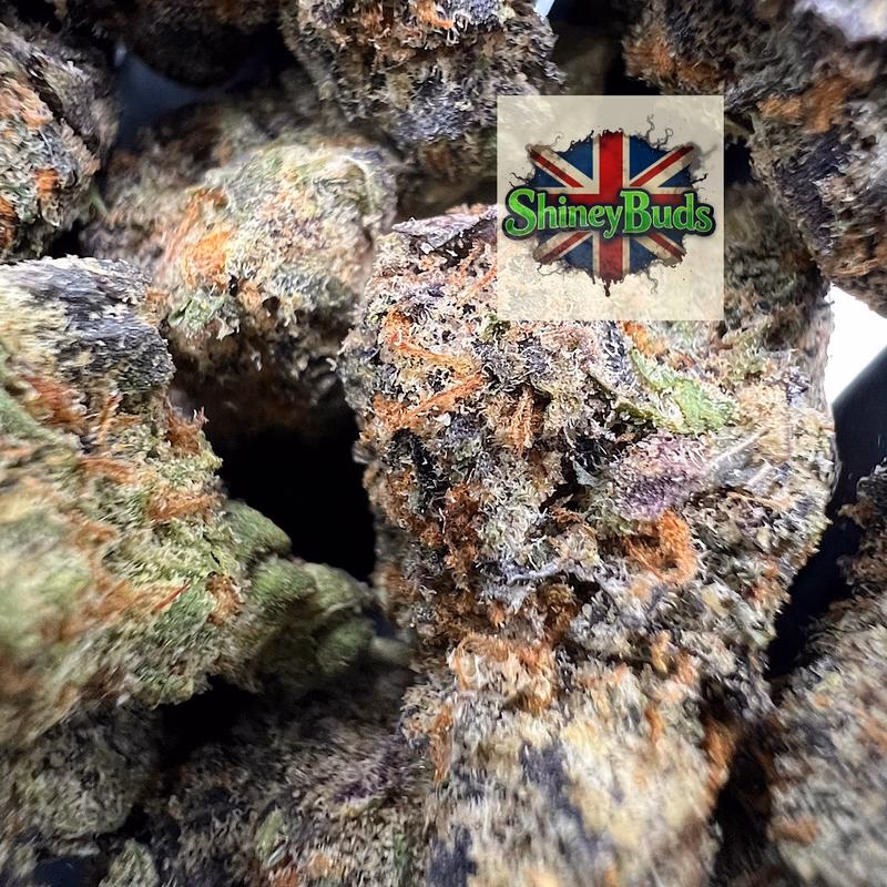 🇺🇸 Lemonatti CONNECTED CANNABIS 2