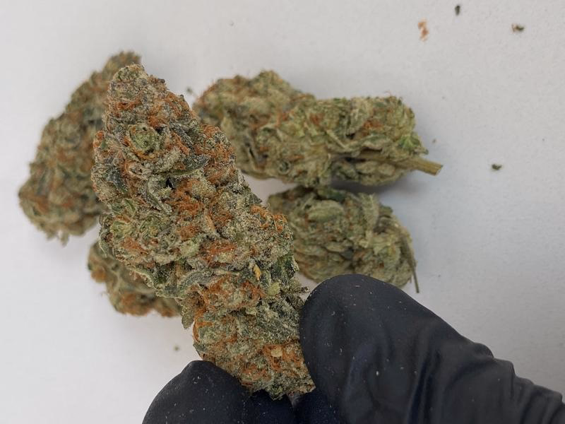BLUE COOKIES