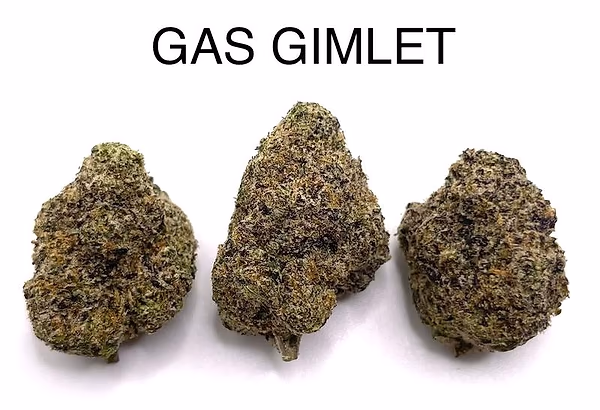 GAS GIMLET (TOP SHELF)