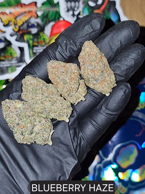 BLUEBERRY HAZE 🇹🇭🇬🇧