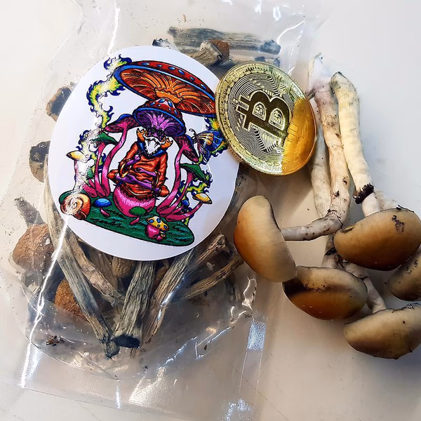 Funghi Magici Koh Samui