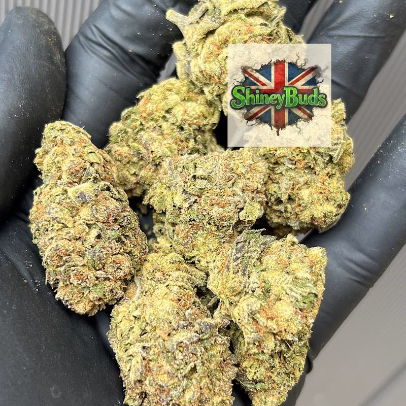 🇬🇧 Cherry Fade 2