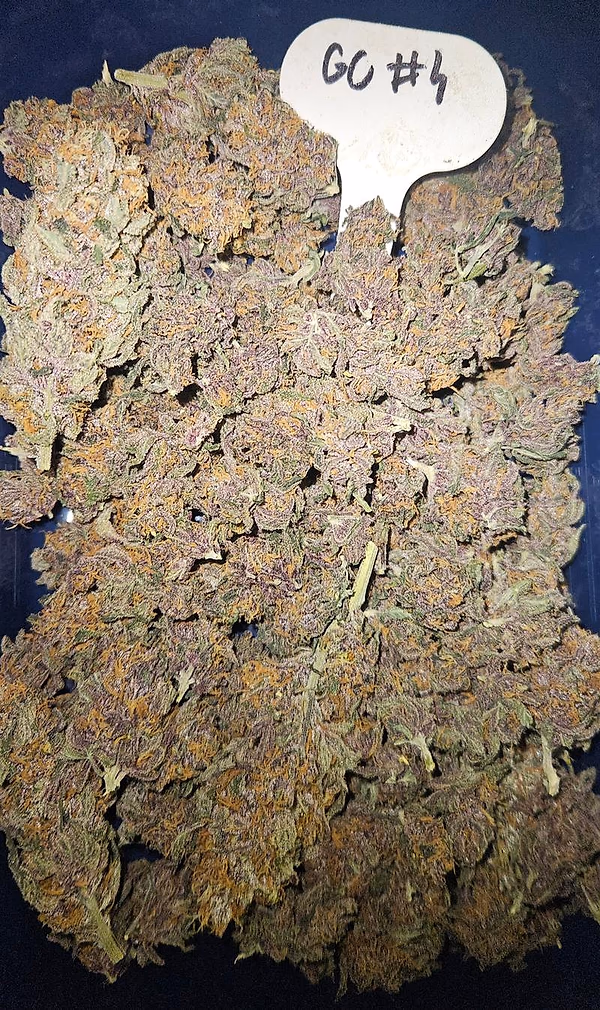 Gelato Cookies