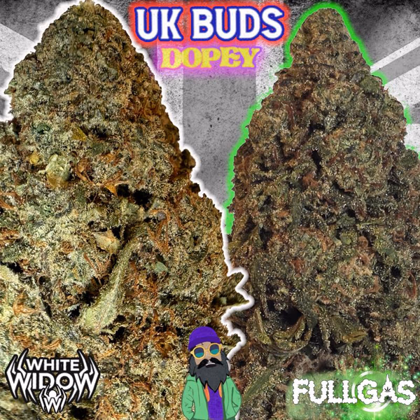 UK BUD'S image