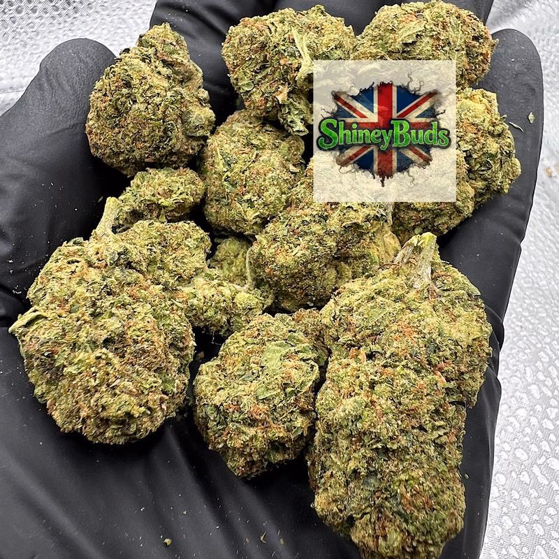 🇺🇸 Lemon Cherrylato (Mids) 2