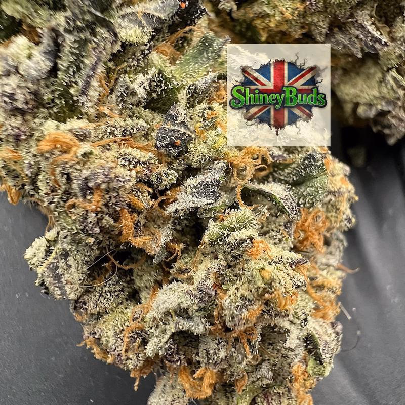 🇬🇧 Ice Cream Cake 2