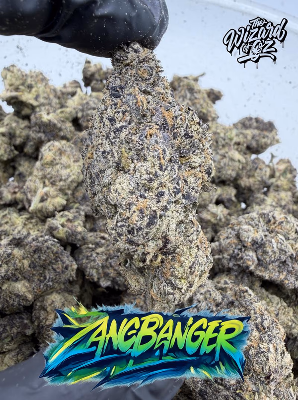 Wizard Trees Strain: Zangbanger