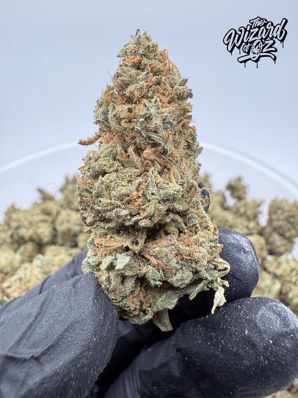 Amnesia Haze 😵‍💫🌌