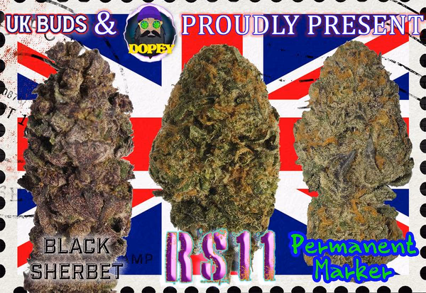 UK BUD'S