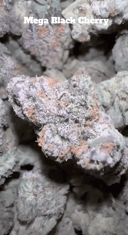 Top Shelf Exotics - Imported Loose Flower