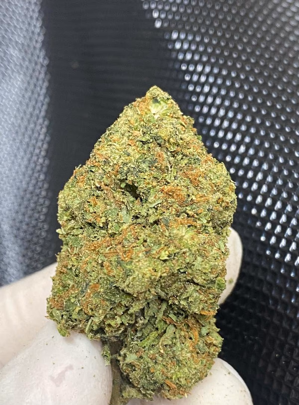 Bacio Gelato AKA Gelato #41 - By Sherbinski