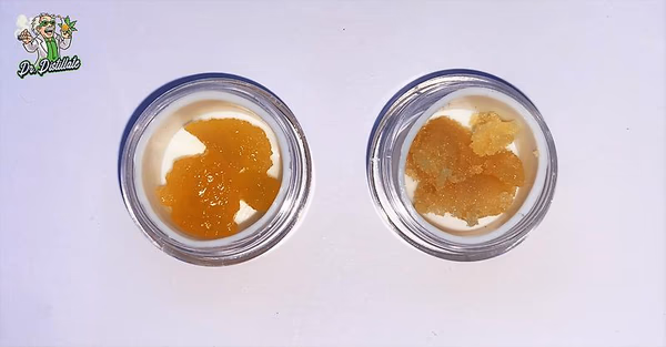 Budder de resina viva