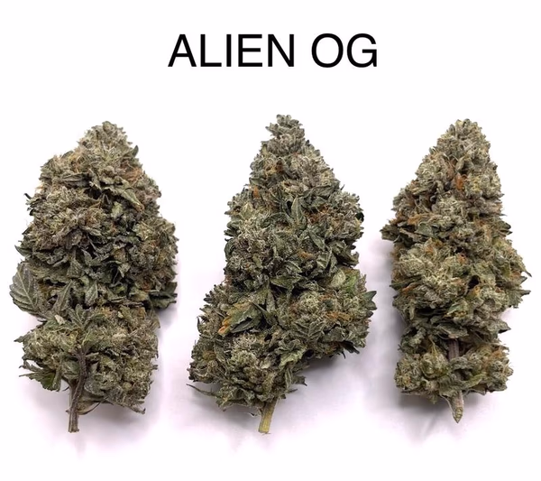 ALIEN OG