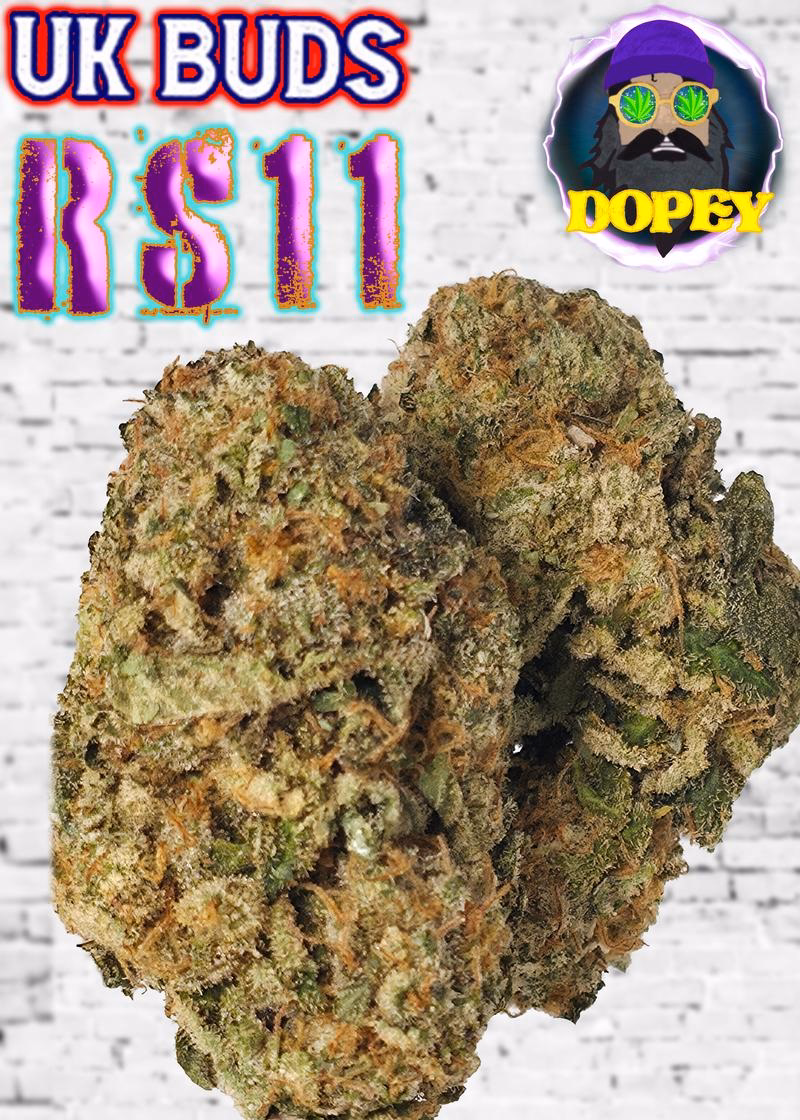 UK BUD'S
