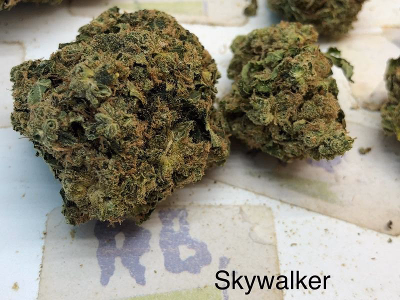 SKYWALKER OG 2