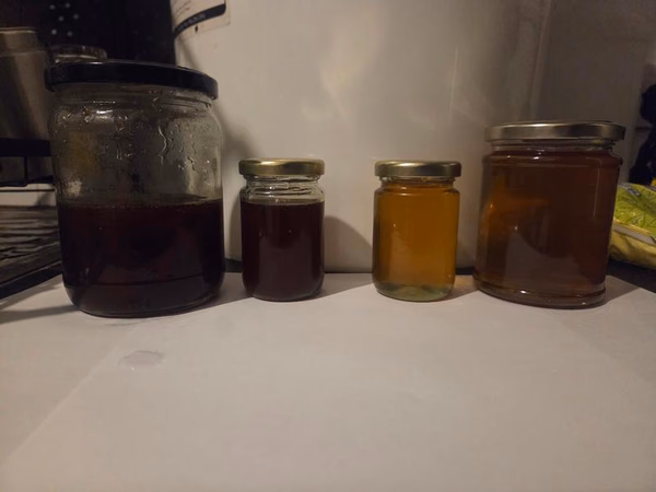 Canna honey — Edibles